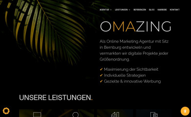Omazing Theme screenshot
