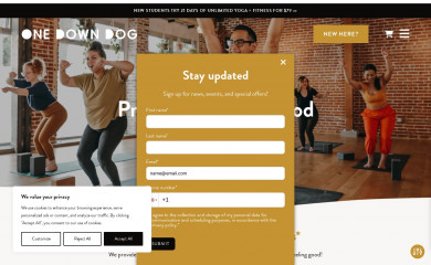 onedowndog.com screenshot