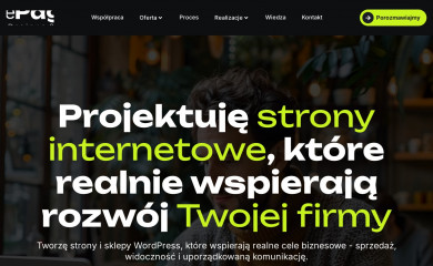 onepage.com.pl screenshot