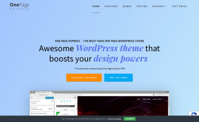 https://onepageexpress.com screenshot