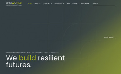 oneworldgroup.co.za screenshot