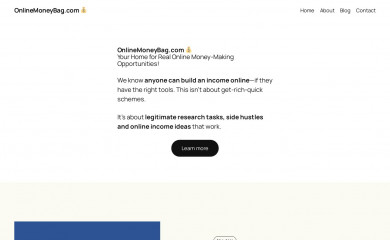 onlinemoneybag.com screenshot