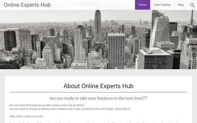 onlineexpertshub.net screenshot