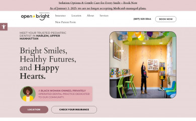 openbrightnyc.com screenshot