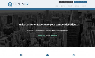 openiqcc.com screenshot