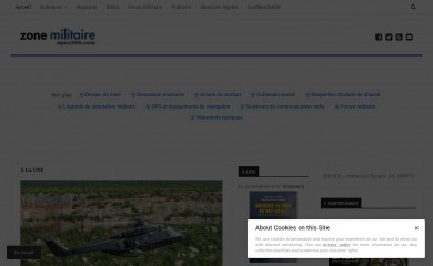 opex360.com screenshot