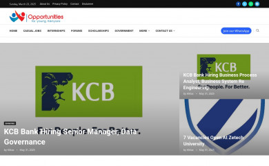 opportunitiesforyoungkenyans.co.ke screenshot