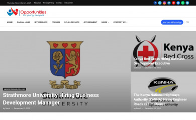 opportunitiesforyoungkenyans.co.ke screenshot