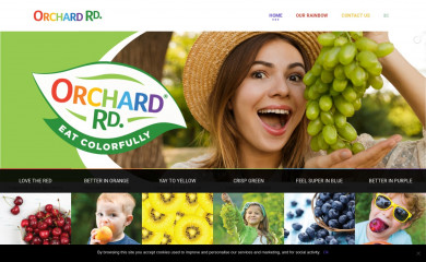 orchardroad.global screenshot