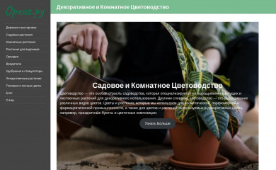 orchis.ru screenshot