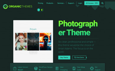 http://www.organicthemes.com/theme/photographer-theme/ screenshot