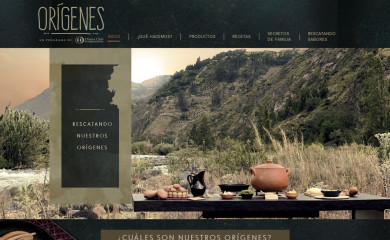 origenesecuador.com screenshot