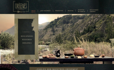 origenesecuador.com screenshot