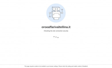 oroeaffarivaltellina.it screenshot