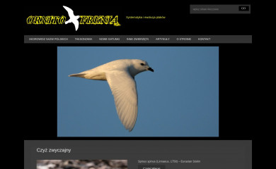 ornitofrenia.pl screenshot