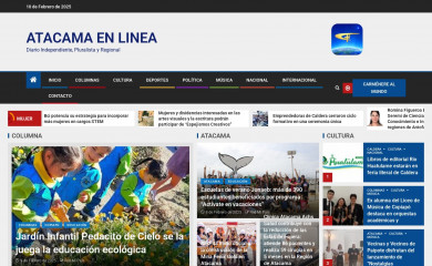 atacamaenlinea.cl screenshot