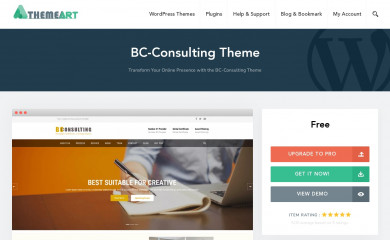 BC Consulting screenshot