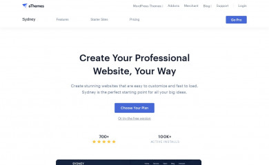 https://athemes.com/theme/rocked screenshot
