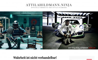 attilahildmann.to screenshot