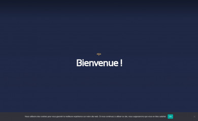 aubonheurdanis.fr screenshot