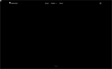 augsburgair.com screenshot