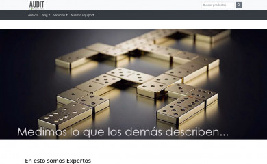 auditconsultores.cl screenshot