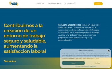 auditaglobal.com screenshot