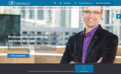auditing.co.il screenshot