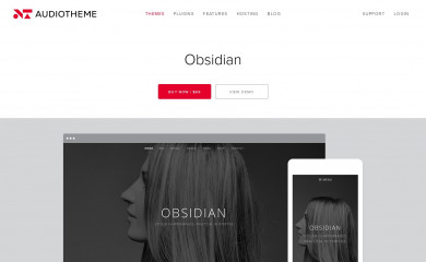 https://audiotheme.com/view/obsidian/ screenshot