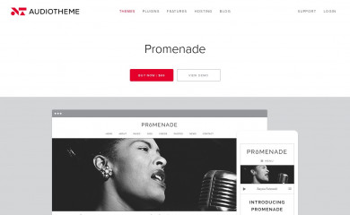 https://audiotheme.com/view/promenade/ screenshot