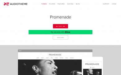 https://audiotheme.com/view/promenade/ screenshot