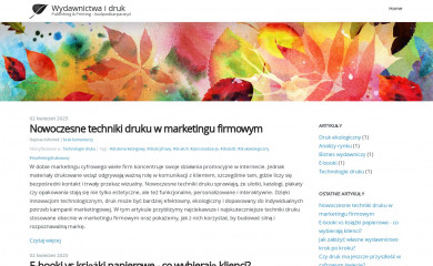 audipodkarpacie.pl screenshot