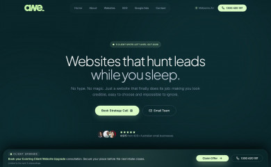 https://australianwebexperts.com.au/ screenshot