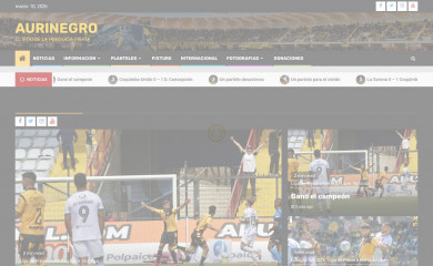 aurinegro.cl screenshot
