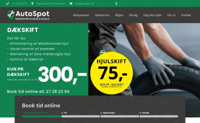auto-spot.dk screenshot