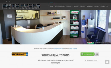 autoprofs.nl screenshot