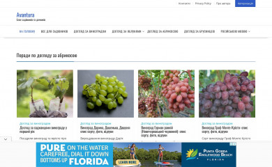 avantura.com.ua screenshot