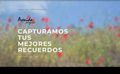 avenidafotografos.com screenshot