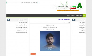 avinmusic.com screenshot