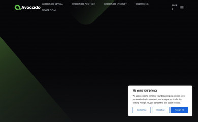 avocadosys.com screenshot