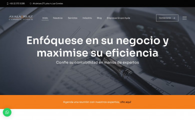 ayalaruiz.cl screenshot