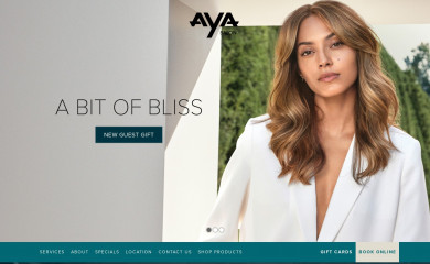 ayasalon.com screenshot