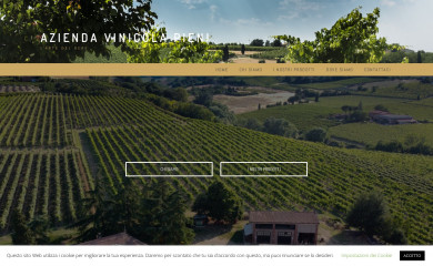 aziendavinicolapieni.it screenshot