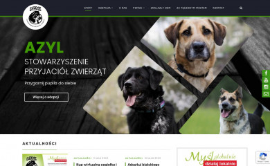 azyl-schronisko.pl screenshot
