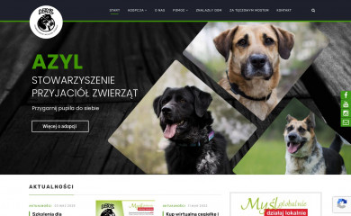 azyl-schronisko.pl screenshot