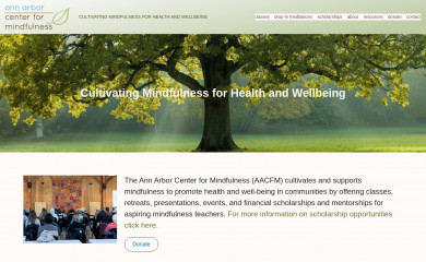 aacfm.org screenshot
