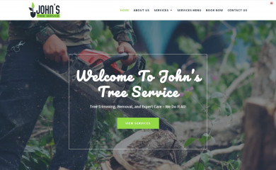 aaajohnstreeservices.com screenshot