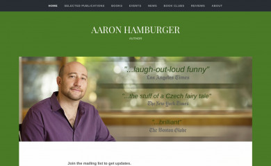 aaronhamburger.com screenshot