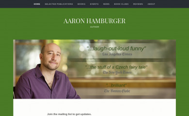aaronhamburger.com screenshot