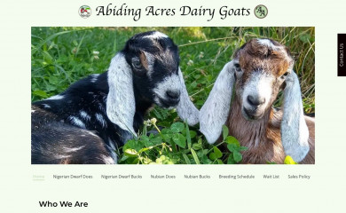 abidingacresdairygoats.com screenshot